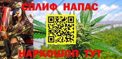 молекула духа Донецк