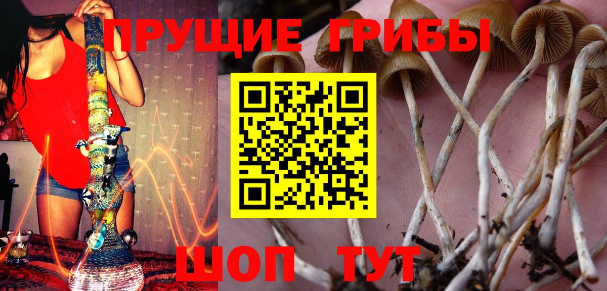 Буйнакск  закладка  Вход с VPN  Галлюциногенные грибы мухоморы 